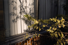 SDIM0148