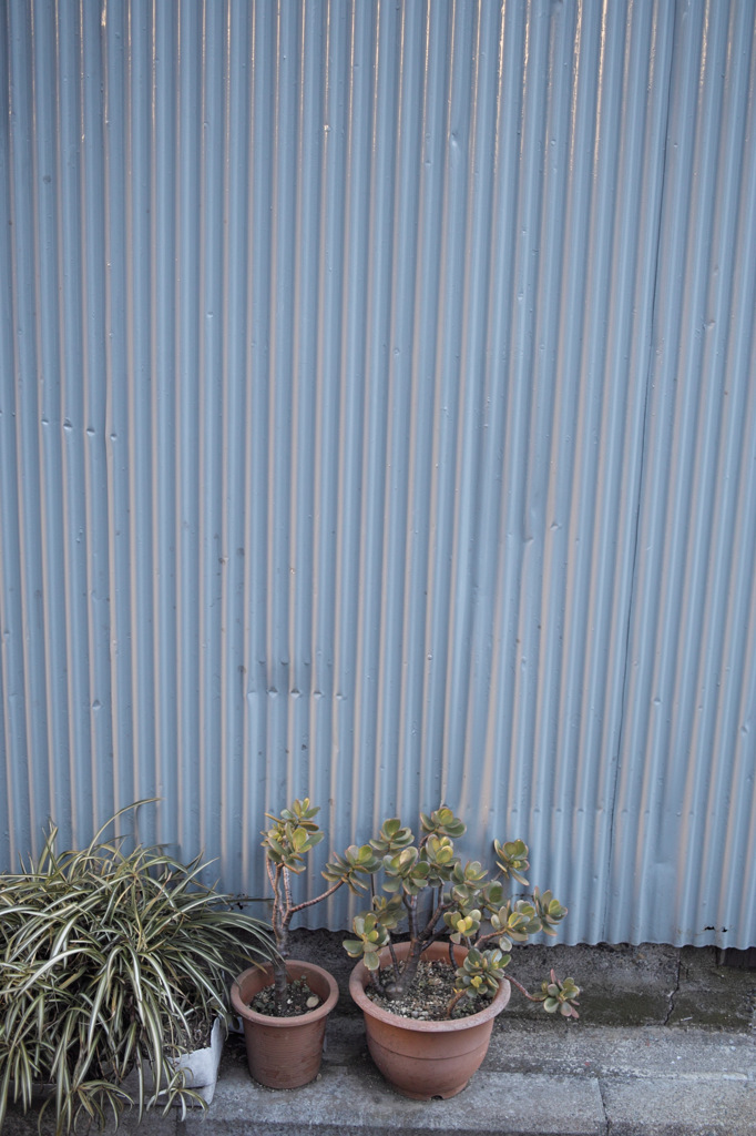 SDIM0704