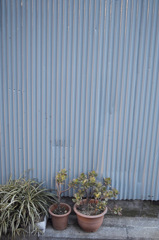 SDIM0704