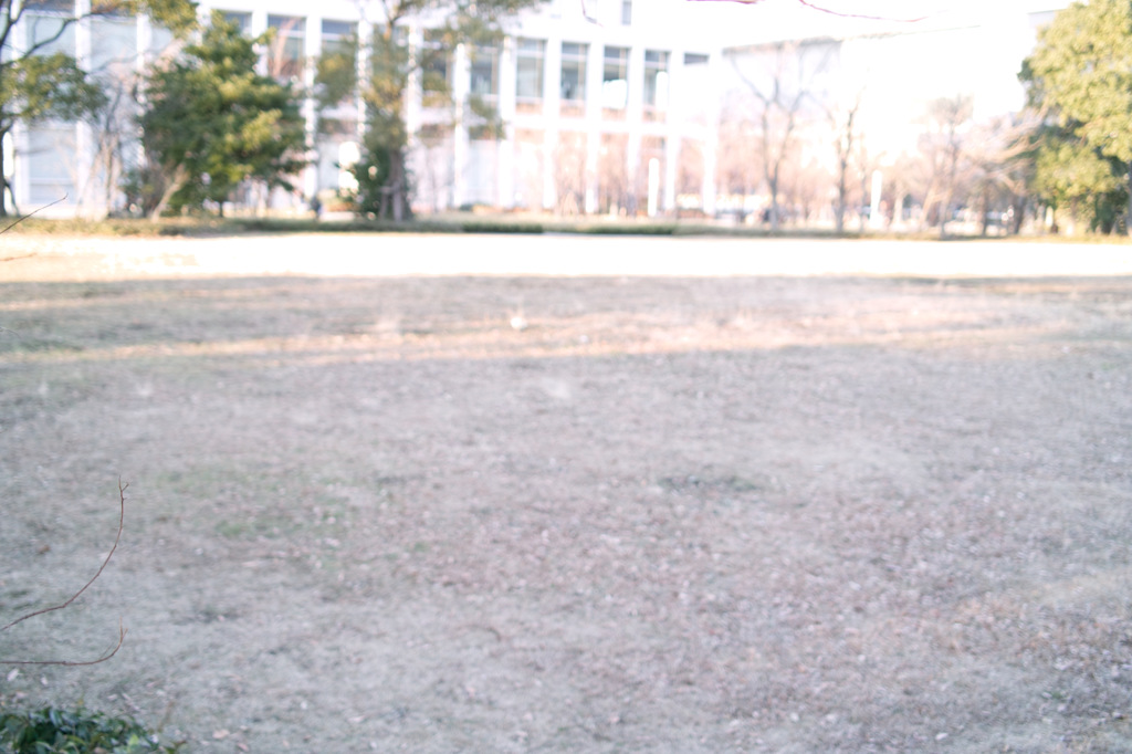 SDIM0268