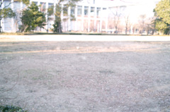 SDIM0268