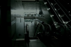 SDIM0050