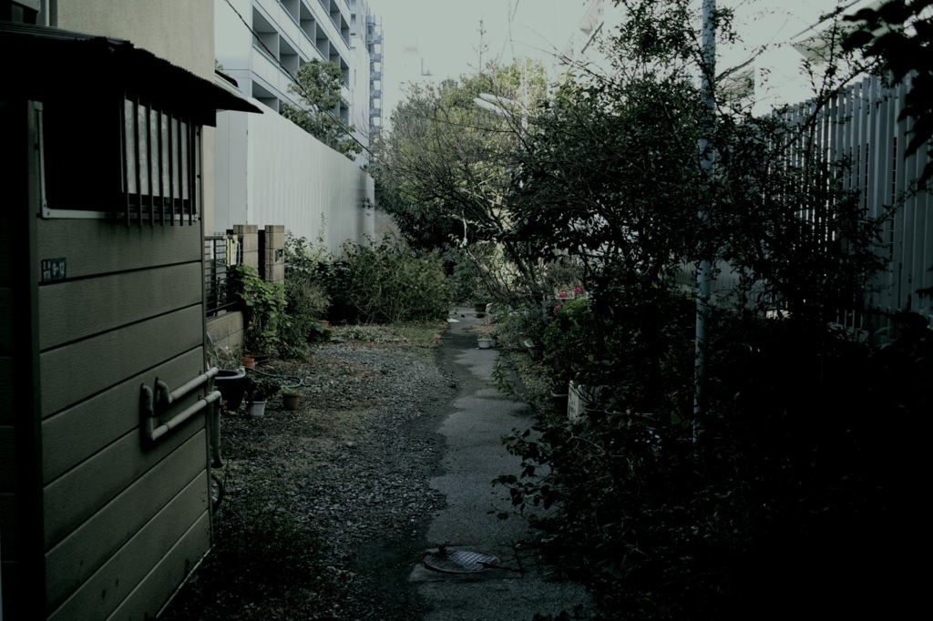 SDIM0135