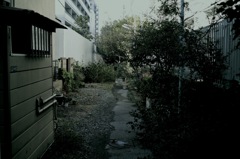 SDIM0135