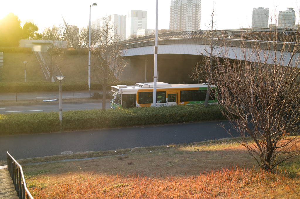 SDIM0276