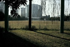 SDIM0073