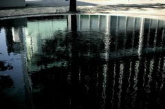 SDIM0173