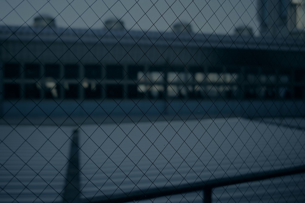 SDIM0019
