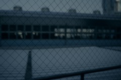 SDIM0019
