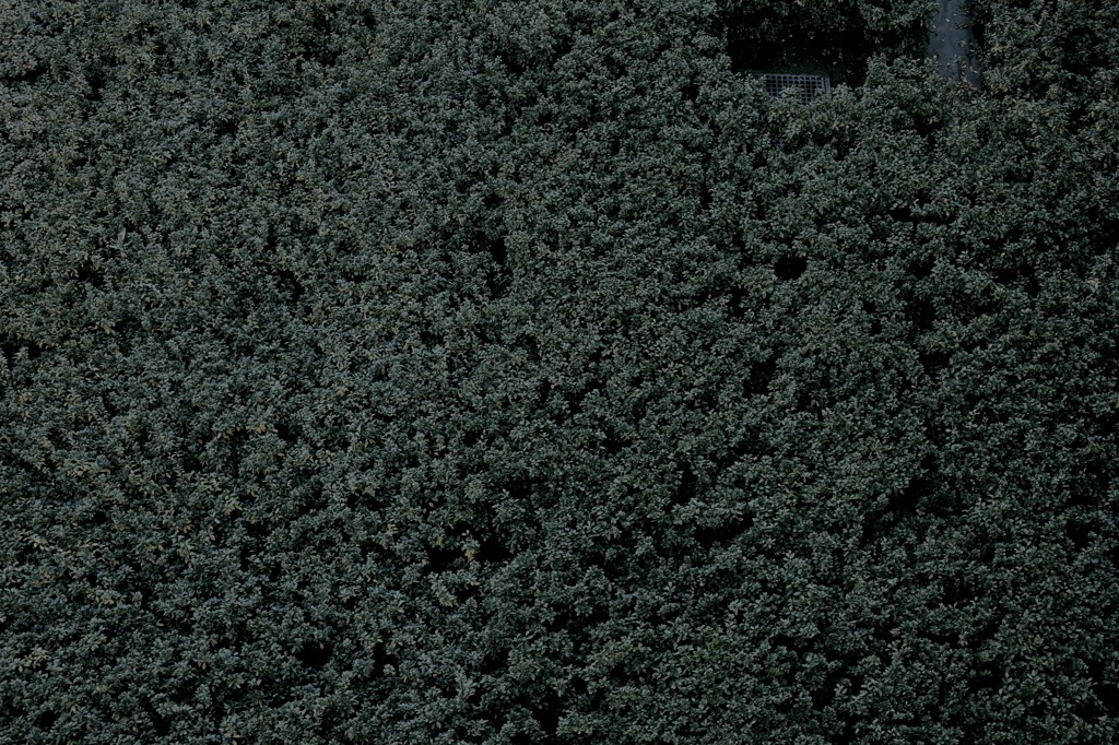 SDIM0042