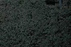 SDIM0042