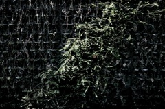 SDIM0177