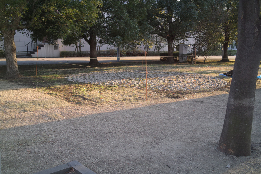 SDIM0279