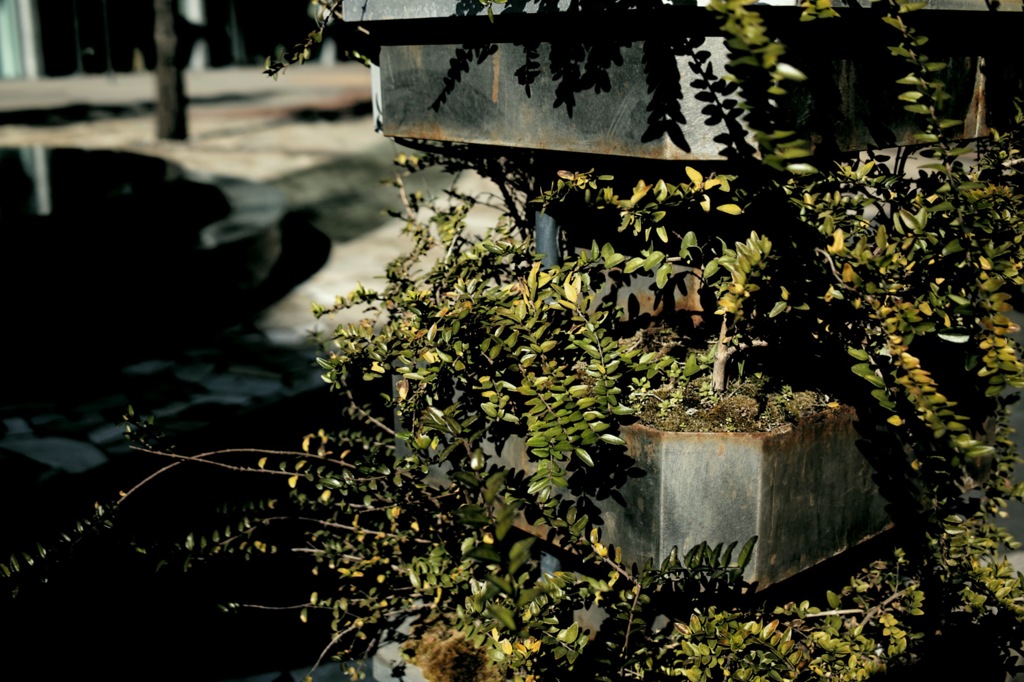 SDIM0172