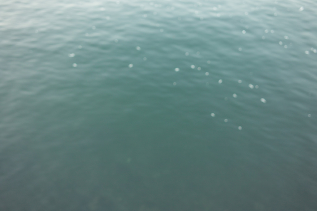 SDIM0317