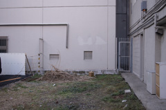 SDIM0084