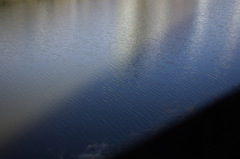 SDIM0029