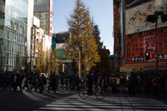SDIM0058