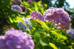 DSC04280