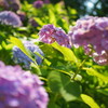 DSC04280