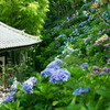 DSC04279