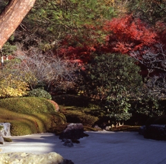 明月院　枯山水