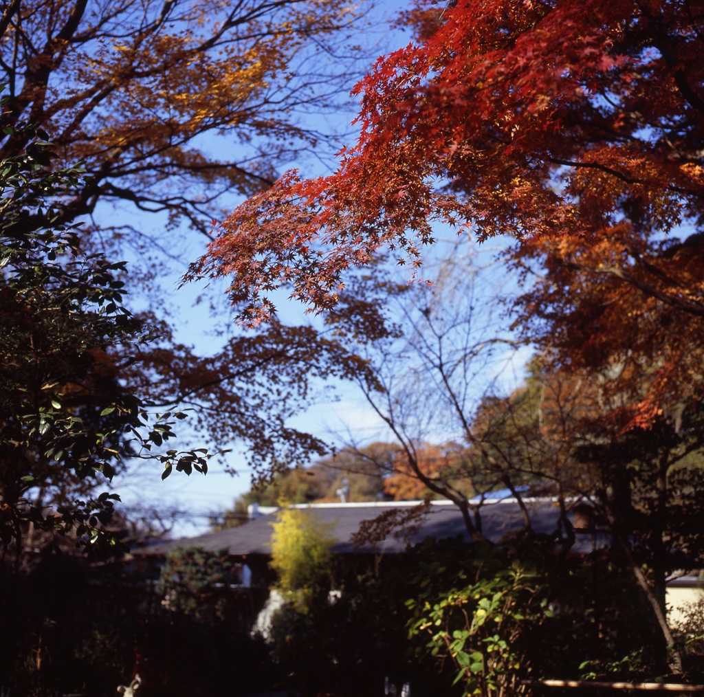 北鎌倉の空