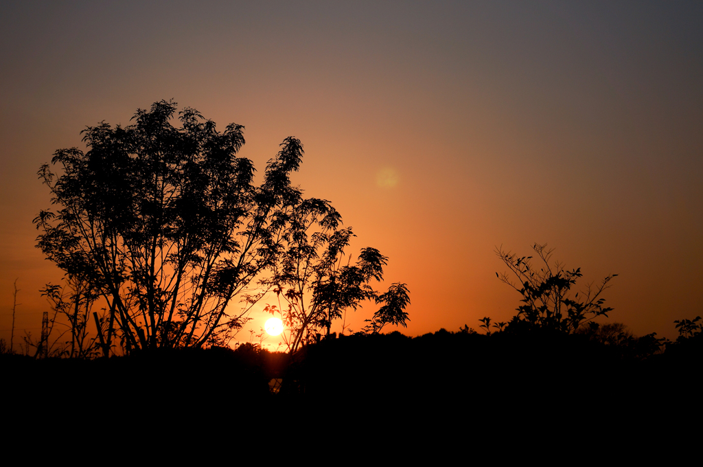 夕日