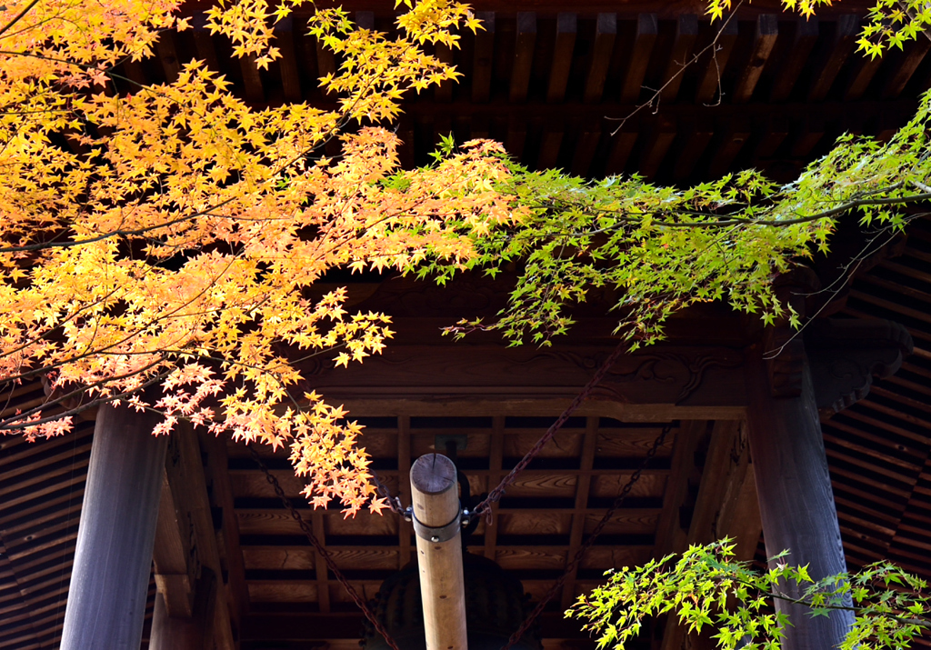 平林寺_01