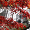 袋田の滝