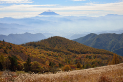 すすき野と富士山