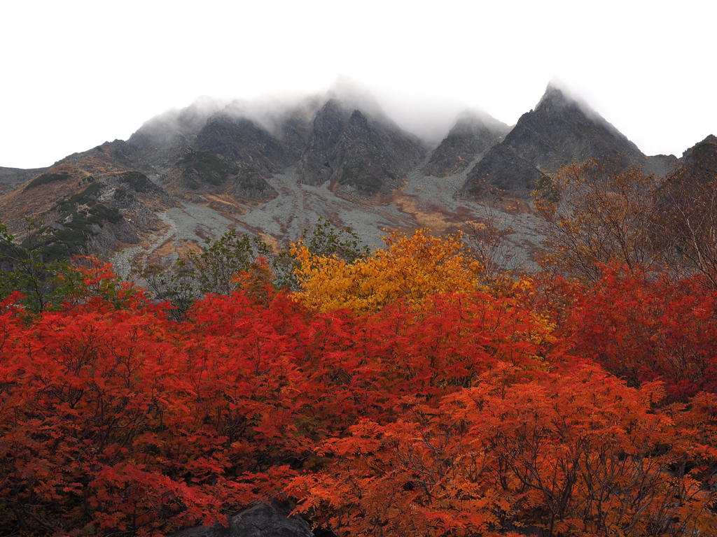 紅葉　涸沢　Ⅱ