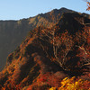 荒沢岳