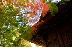 平林寺_02