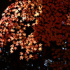 IWA_8687