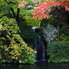 箱根美術館庭園