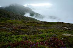 荒川岳