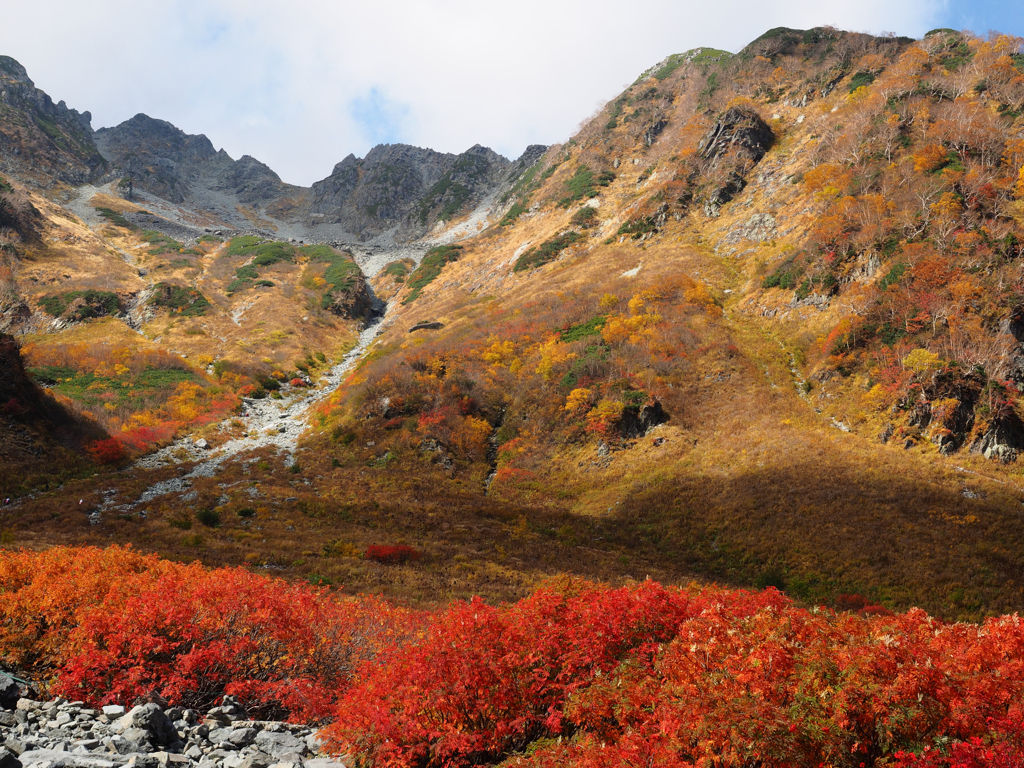 紅葉　涸沢Ⅳ