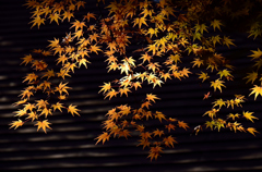 平林寺_04