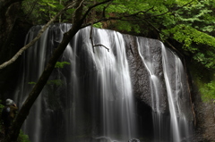 達沢不動滝　初夏