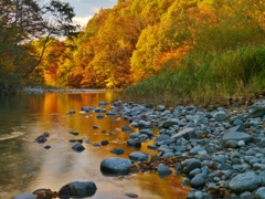 秋の山と川