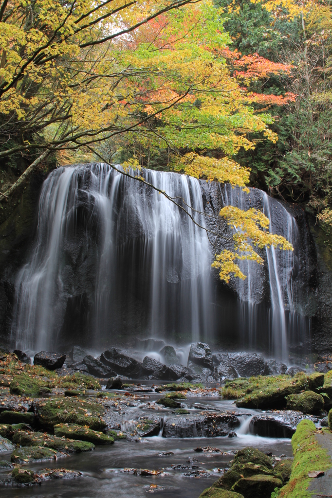 錦の滝