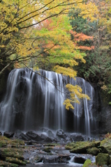 不動の滝の秋