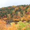 彩の山