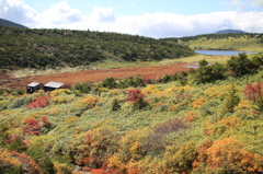 秋の高原