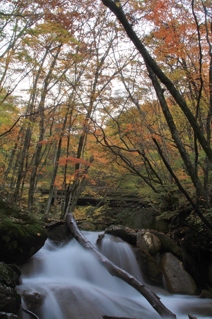 小さき滝