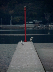 灯台