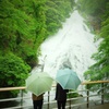 Rainy Fall