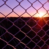 夕陽を浴びて～PURPLE