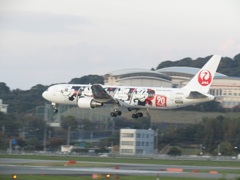 JAL  B767  JA602Jのランディング